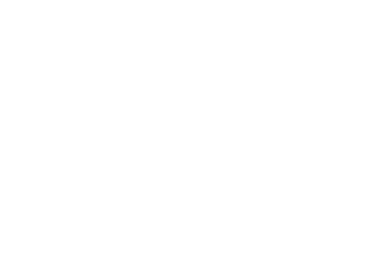 BN Partners