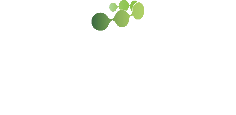 Ntsg Italia
